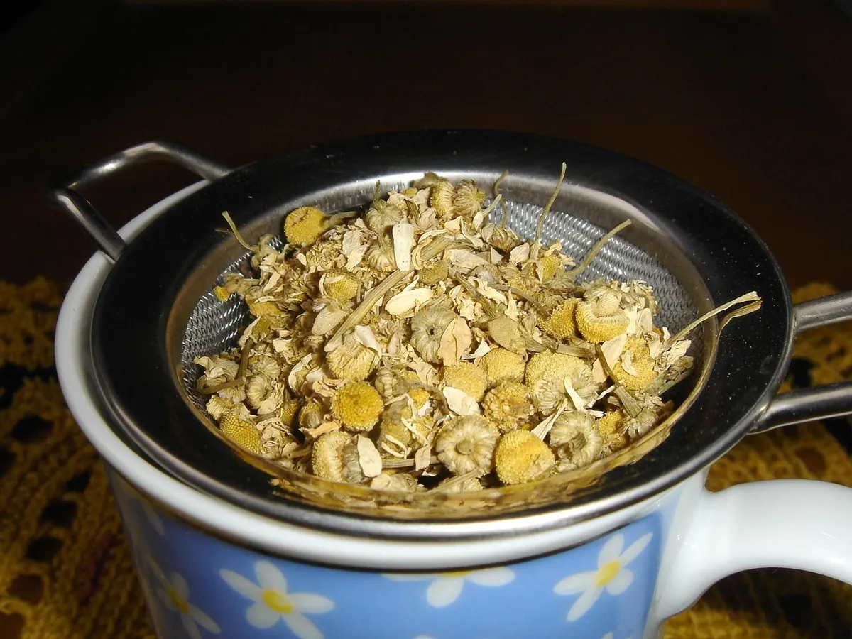 How to Brew Loose-Leaf Tea Without a Teapot: 5 Everyday Methods
